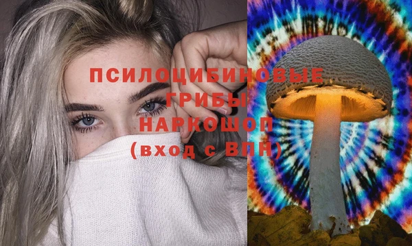 спиды Богородск